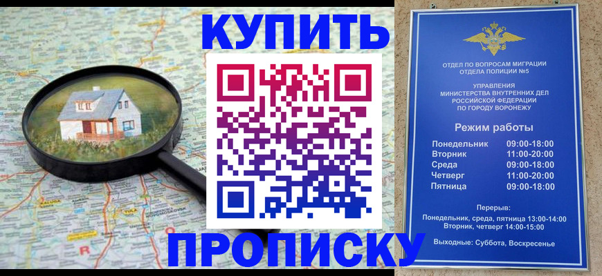 прописка поиск в Нижнекамске